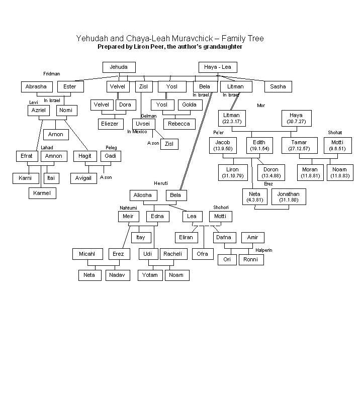 Family-tree - 3